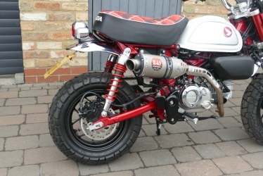 monkey2303003-1742713982