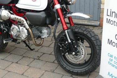 monkey2303005-1742713982