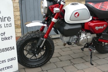monkey2303008-1742713982