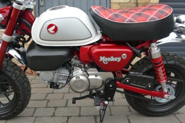 monkey2303009-1742713982