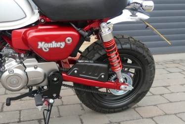 monkey2303010-1742713982
