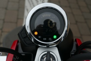monkey2303012-1742713983