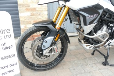 tiger0307008-1751564683