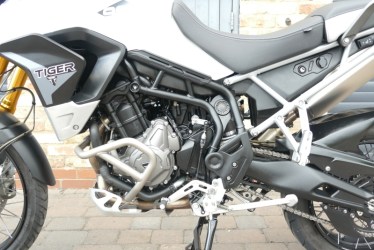 tiger0307009-1751564683