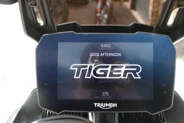 tiger0307012-1751564683