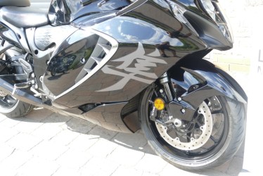 tiger0307029-1751561648
